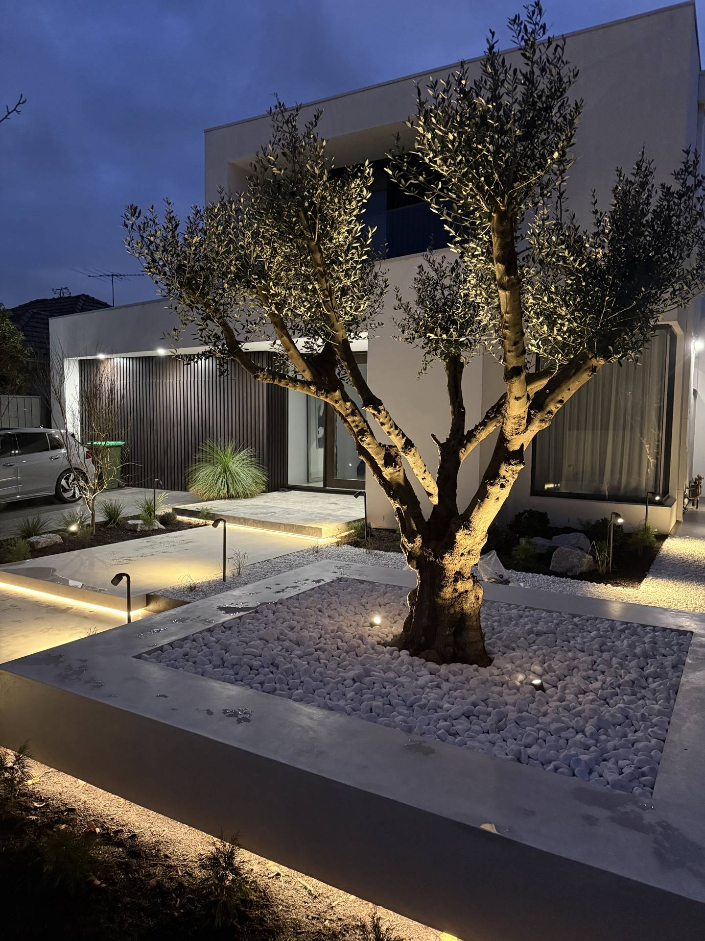 Architectural garden lighting with uplit olive tree, eastern suburbs Melbourne